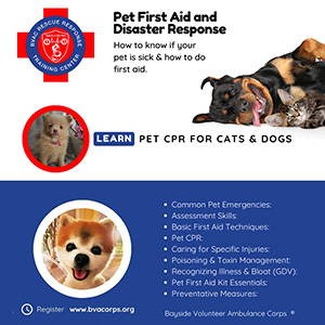 Pet First Aid and Disaster Response