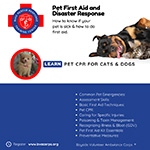 Pet First Aid and Disaster Response