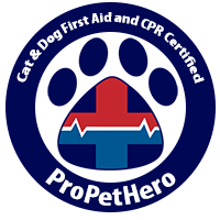 Pet First Aid & CPR Certification  BVAC Rescue Response Training Center