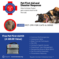 Pet First Aid and Disaster Response
