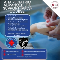 AHA Pediatric Advanced Life Support (PALS) (Ronkonkoma - MIBP)