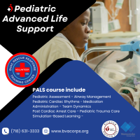 AHA Pediatric Advanced Life Support (PALS)