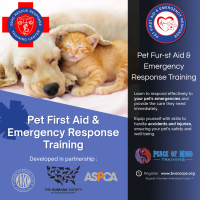 Virtual Pet First Aid & Emergency Response Training