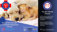 Virtual Pet First Aid & Disaster Response Course